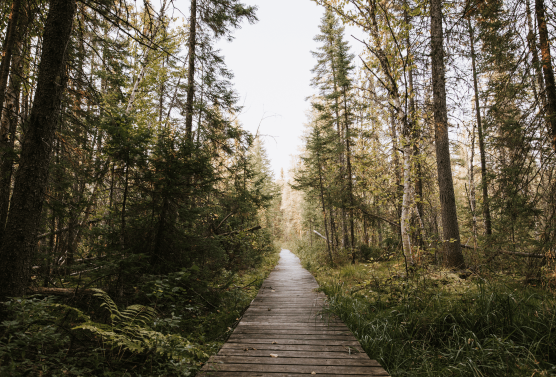 Hiking at Esker Lakes Provincial Park